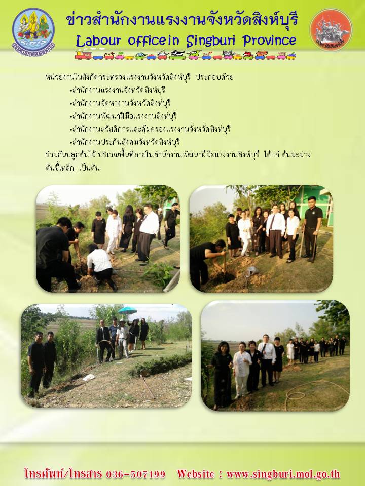 Mol-Thailand